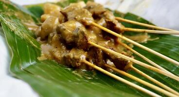 Delicious sate padang dish from Indonesia on top of paper plate and green banana leaf background. Beef skewers with sauces and ketupat rice cakes. photo