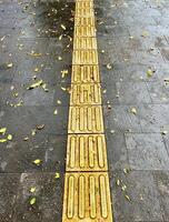 Stone pavement side walk pedestrian walk way with wet surface from rain water with yellow braille blocks foot path assistance and fallen tree leaves isolated on vertical ratio background. photo