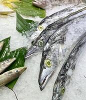 Silver scabbardfish or cutlass fish heads in fishmonger cold ice counter display isolated on vertical ratio background with green leaves and fish meat background. photo