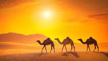 Ramadan promotion concept A group of camels walking in the desert during the day photo