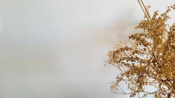 light background with rustic texture photo