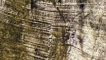 black, rustic texture background with details photo