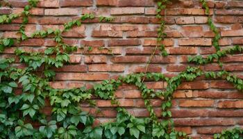 Brick wall texture background photo