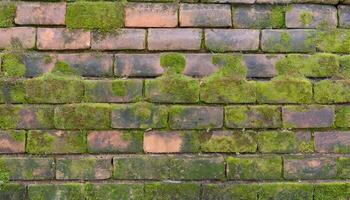 Brick wall texture background photo