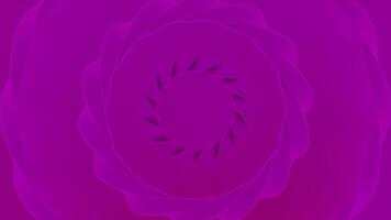 Green and pink background.Design. Bright loops in abstraction merge with the background and which twist in the center of the footage and expand. video