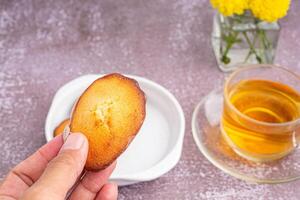 Hand holding a piece of madeleine on lemon glaze madeleines on a plate with a cup of tea placed on a gray stone background. Madeleine - homemade traditional French small cookie photo