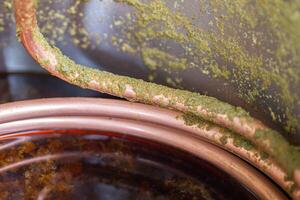 Close-up of a copper immersion heat exchanger which is used in the craft beer process. Selective focus. Process of home brewing photo
