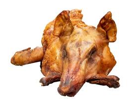 Whole roasted suckling pig isolated on white background with clipping path photo