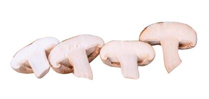 Front view of shiitake mushroom in halves isolated on white background with clipping path photo