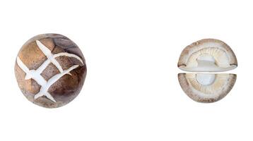 Top view set of fresh shiitake mushroom with halves or slices isolated on white background with clipping path photo