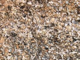 cliff rock formations Textures and patterns backgrounds photo