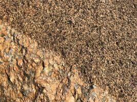 cliff rock formations Textures and patterns backgrounds photo