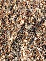 cliff rock formations Textures and patterns backgrounds photo
