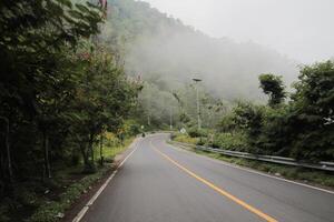Pusuk Forest Highway, Sembalun tourist spot, East Lombok photo