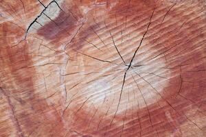 Aged Wooden Texture with Deep Grain and Knots photo