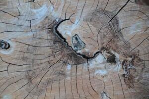 Aged Wooden Texture with Deep Grain and Knots photo