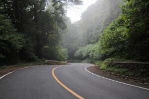 Pusuk Forest Highway, Sembalun tourist spot, East Lombok photo