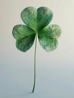 A green leafy plant with four leaves clover is presented photo