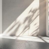 Empty room with sunlight streaming through large windows, minimalism concept photo