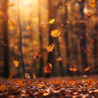 Flying fall leaves on autumn forest background, copy space. Autumn leaves in the forest. Nature background. Fall season. photo