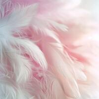 Soft feather arrangements in saturated pastel tones, background with copy space. photo