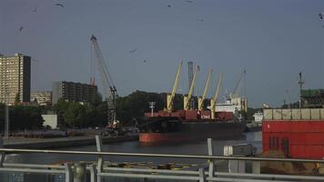 Porto, Portugal. Cargo port with cranes and workers in sunny weather in Oporto. Loading terminal with cargo ships view from the bridge. Global business logistic and transportation. video