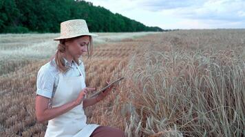 Happy female farmer using digital tablet and examining wheat crops video