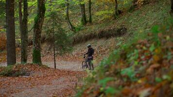 Male cyclist got tired and stopped for drink of water during long climb in forest in mountains in autumn. Gravel biking in mountainous area in woods in fall. Bicyclist is exhausted and drinks water. video