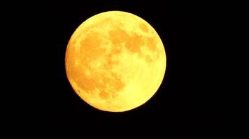 Glowing yellow huge full moon as seen from earth through the clouds against starry night sky. Large full moon moves across the sky, moon makes its way from bottom left frame to top right. video