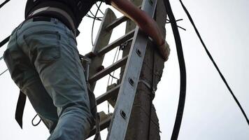 Skilled electrician fixes wires standing on ladder near high pole against blue sky on summer day backside view. Electrical service and mounting on the pole video