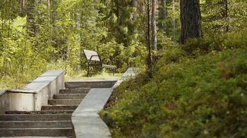 Empty wooden bench with iron decorations stands on top of a concrete staircase on a sunny afternoon in a forest park video