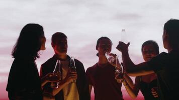Young friends drinking tasty beverages from bottles, talking, smiling and having fun at the outdoor party with a red dusk sky in the backdrop. Concept of carefree summer leisure video