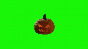 Pumpkin on a green background. Seamless looping 4k time-lapse animation background video