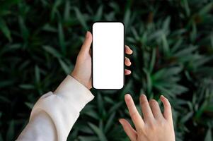 A woman hand's holding a white-screen smartphone mockup over a blurred background of green grass. photo