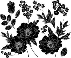 Set of silhouettes of peony flowers and leaves vector