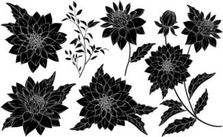 Set with silhouettes of chrysanthemums vector