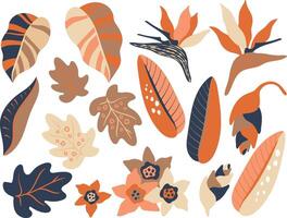Abstract Bird of Paradise Jungle plants set vector