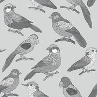 Seamless monochrome pattern with various birds types vector