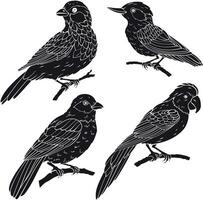 Set of silhouettes of various birds types vector