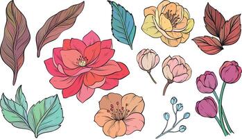 Set of design elements with decorative flowers vector