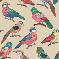 Seamless pattern with various birds types vector