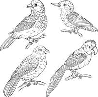 Set of birds types, line art vector