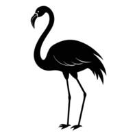 Flamingo Silhouettes art, Flamingo bird black Silhouette Clipart. Silhouette of a flying flamingo on white Background. Standing Flamingo bird outline ,good for graphic design resources. vector