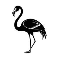 Flamingo Silhouettes art, Flamingo bird black Silhouette Clipart. Silhouette of a flying flamingo on white Background. Standing Flamingo bird outline ,good for graphic design resources. vector