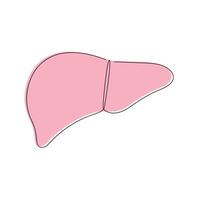 Liver in one continuous line in color. One line drawing, minimalism. illustration. vector