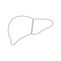Liver in one continuous line. One line drawing, minimalism. vector