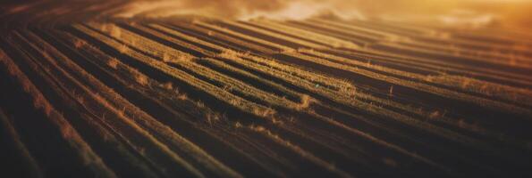 Agricultural landscape with breathtaking scenery and farm activities. . photo