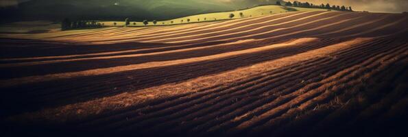 Agricultural landscape with breathtaking scenery and farm activities. . photo