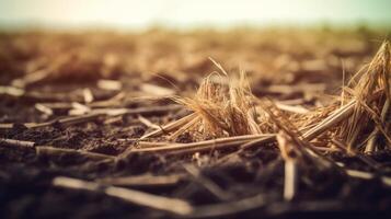 Agricultural landscape with breathtaking scenery and farm activities. . photo