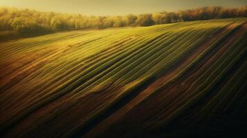 Agricultural landscape with breathtaking scenery and farm activities. . photo